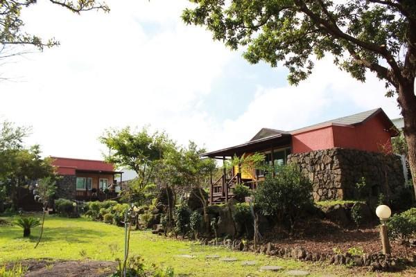Gotjawal Geomunoreum Pension Jeju by Eksteriør bilde
