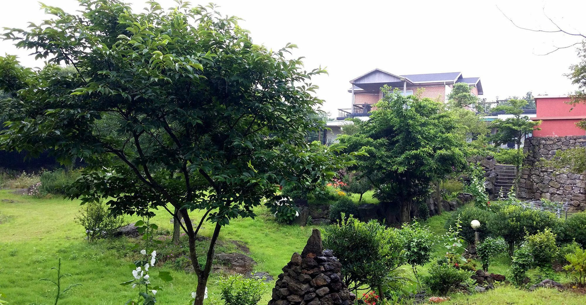 Gotjawal Geomunoreum Pension Jeju by Eksteriør bilde
